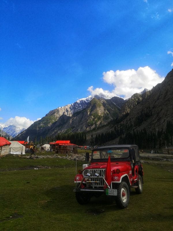Expansive green meadows and wildflowers in Sharan Valley near Kaghan