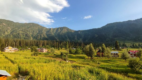 Scenic Arang Kel in Neelam Valley, Azad Kashmir Pakistan with lush meadows, pine trees, and stunning Himalayan mountain views