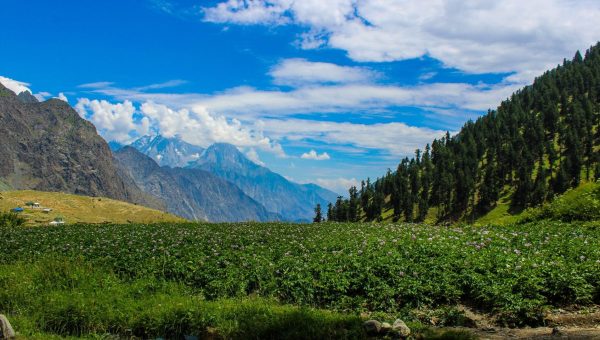 Snowy peaks and lush green meadows of Hopar Valley in Hunza, Gilgit-Baltistan