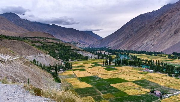 Autumn in Hunza Valley – yellow trees with Karakoram peaks