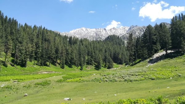 Kalash Valley Pakistan – colorful festivals and traditional houses