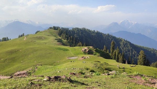 Siri Paye Meadows in Shogran, Khyber Pakhtunkhwa, with green grasslands, alpine flowers, and Makra Peak in the background